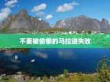 不要被偷懒的马拉进失败