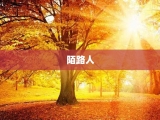 陌路人