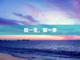 倾一生，做一事
