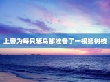 上帝为每只笨鸟都准备了一根矮树枝