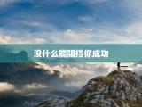 没什么能阻挡你成功