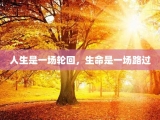 人生是一场轮回，生命是一场路过