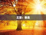 王蒙：善良