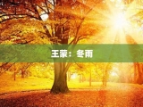 王蒙：冬雨
