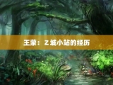王蒙：Ｚ城小站的经历