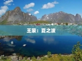 王蒙：夏之波