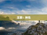 王蒙：神鸟