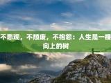 不悲观，不颓废，不抱怨：人生是一棵向上的树