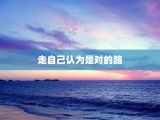 走自己认为是对的路