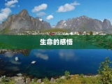 生命的感悟