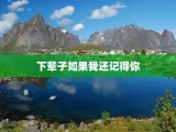 下辈子如果我还记得你
