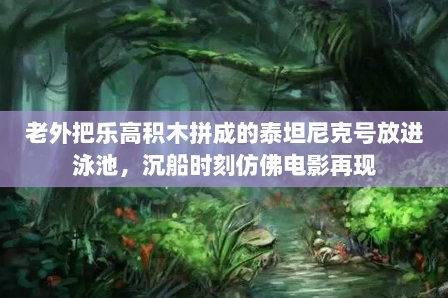 老外把乐高积木拼成的泰坦尼克号放进泳池,沉船时刻仿佛电影再现