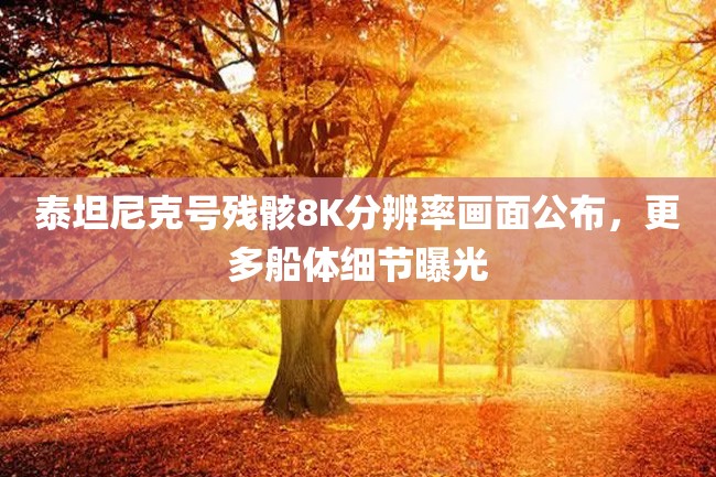 泰坦尼克号残骸8K分辨率画面公布,更多船体细节曝光