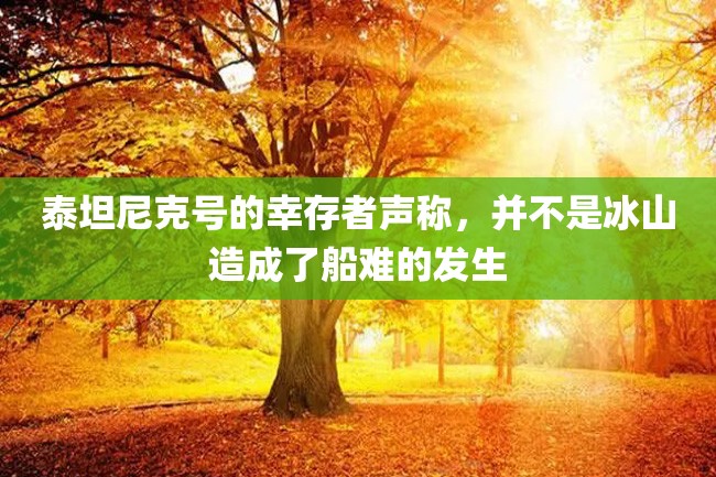 泰坦尼克号的幸存者声称，并不是冰山造成了船难的发生