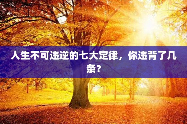 人生不可违逆的七大定律,你违背了几条?