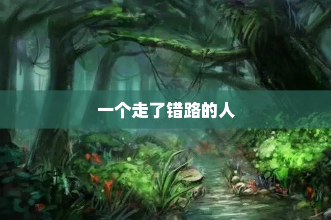 一个走了错路的人
