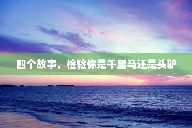 四个故事,检验你是千里马还是头驴