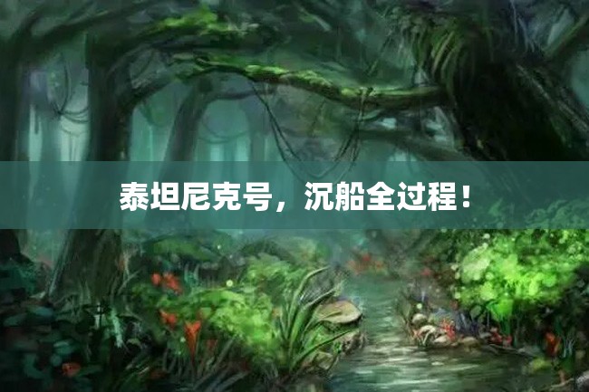 泰坦尼克号，沉船全过程！
