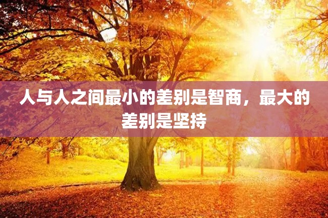人与人之间最小的差别是智商,最大的差别是坚持