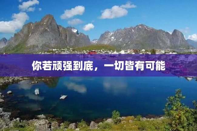 你若顽强到底,一切皆有可能