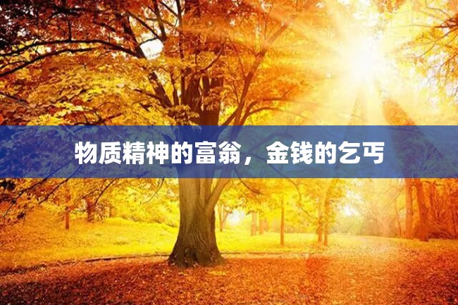 物质精神的富翁,金钱的乞丐