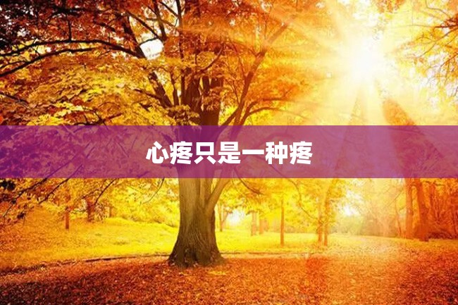 心疼只是一种疼