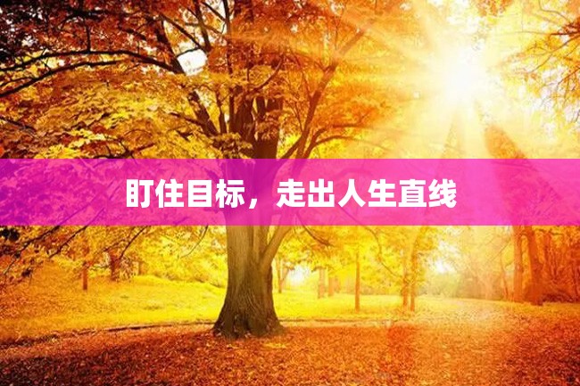 盯住目标，走出人生直线