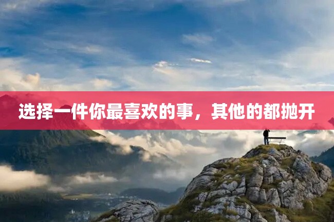 选择一件你最喜欢的事,其他的都抛开