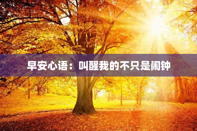 早安心语:叫醒我的不只是闹钟
