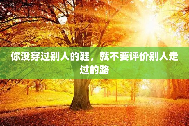 你没穿过别人的鞋,就不要评价别人走过的路