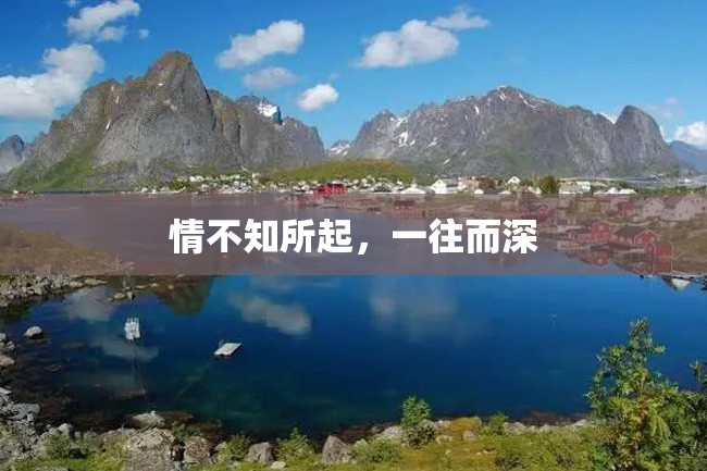 情不知所起,一往而深