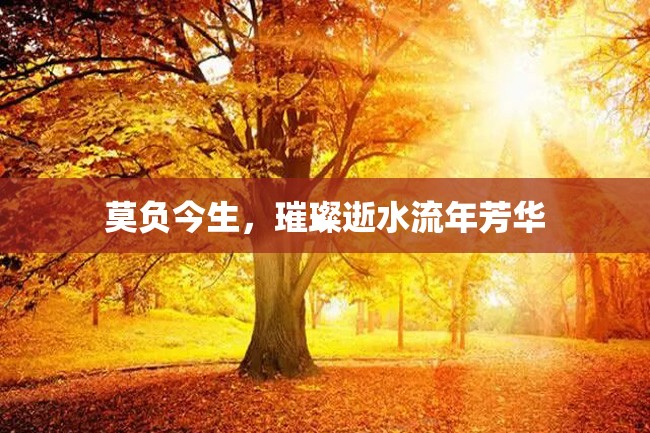 莫负今生,璀璨逝水流年芳华