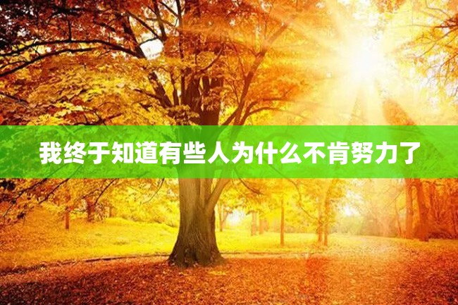 我终于知道有些人为什么不肯努力了