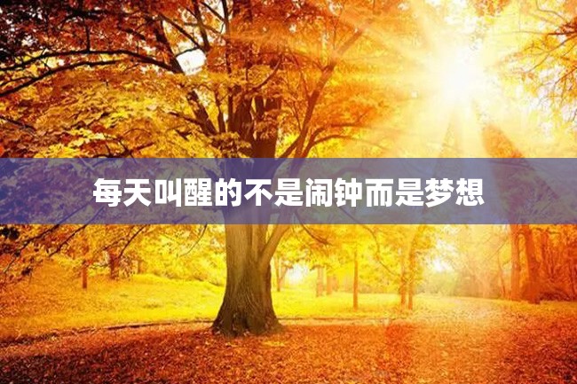 每天叫醒的不是闹钟而是梦想