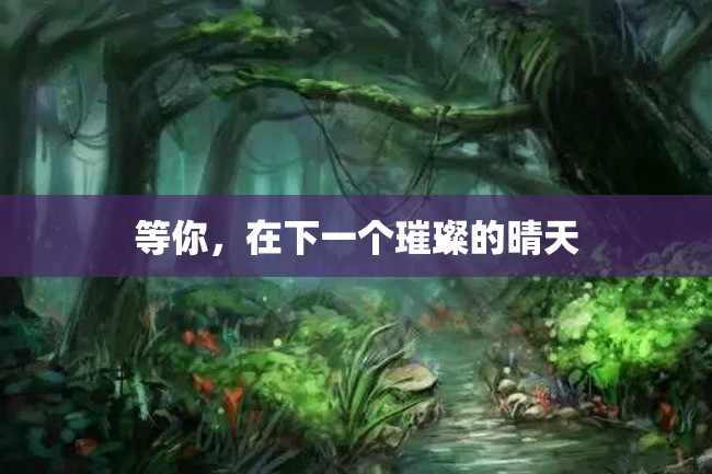 等你,在下一个璀璨的晴天