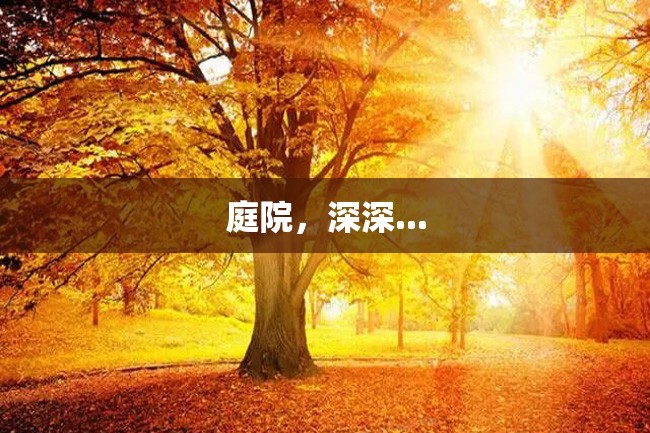 庭院,深深...