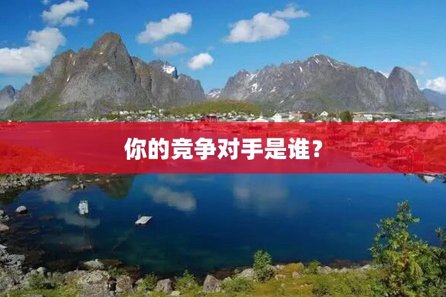 你的竞争对手是谁?