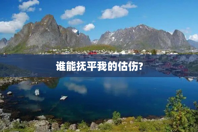 谁能抚平我的估伤?