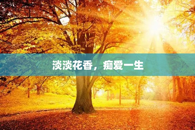 淡淡花香,痴爱一生