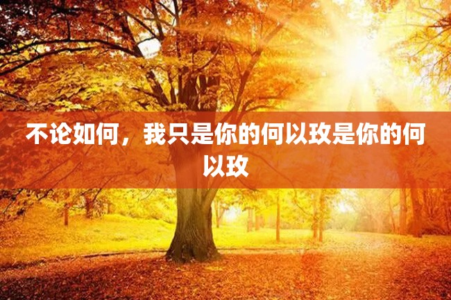 不论如何，我只是你的何以玫是你的何以玫