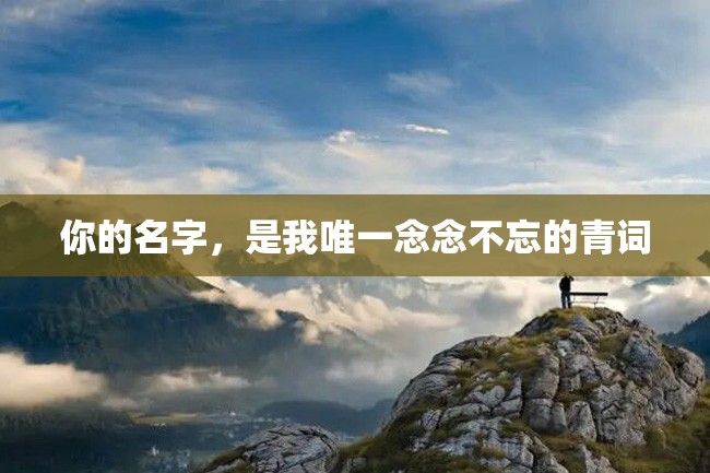 你的名字,是我唯一念念不忘的青词