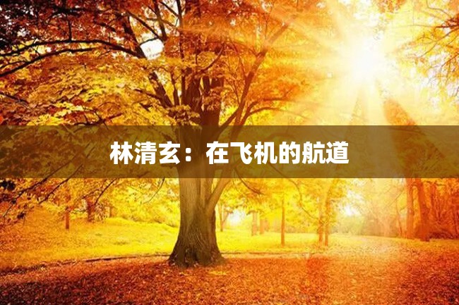 林清玄:在飞机的航道