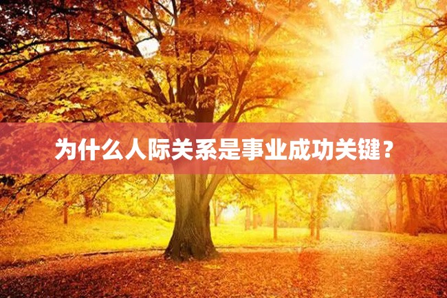 为什么人际关系是事业成功关键?