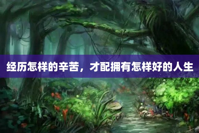 经历怎样的辛苦,才配拥有怎样好的人生