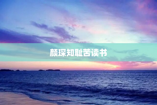 颜琛知耻苦读书