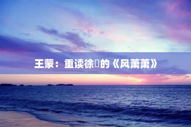 王蒙:重读徐皐的《风萧萧》