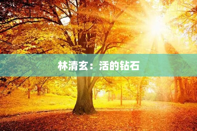 林清玄:活的钻石