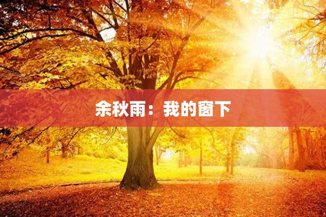 余秋雨:我的窗下