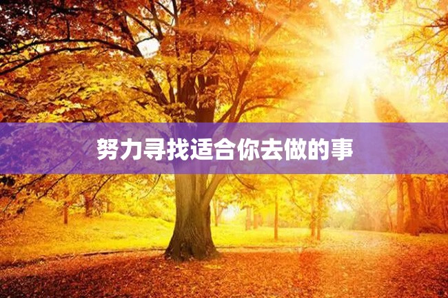 努力寻找适合你去做的事