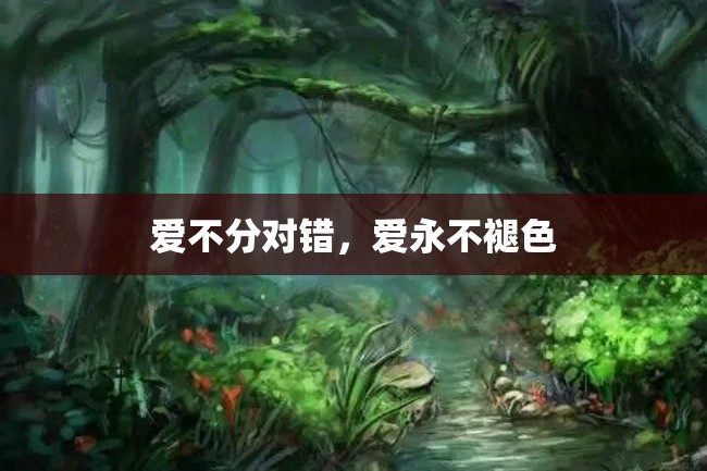 爱不分对错,爱永不褪色